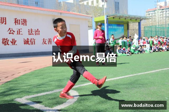 认识emc易倍